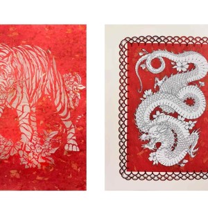 Francis Marion University  Shin and Knight